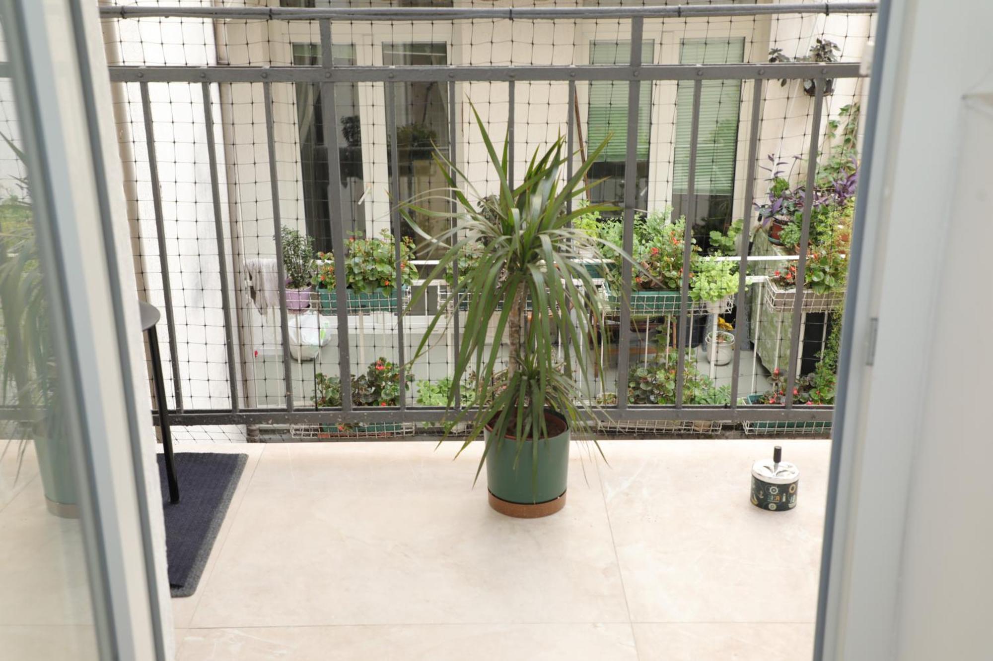 Maison Danube Belgrado Esterno foto